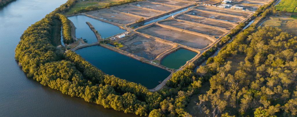 Acquacoltura bando Phorma Mentis