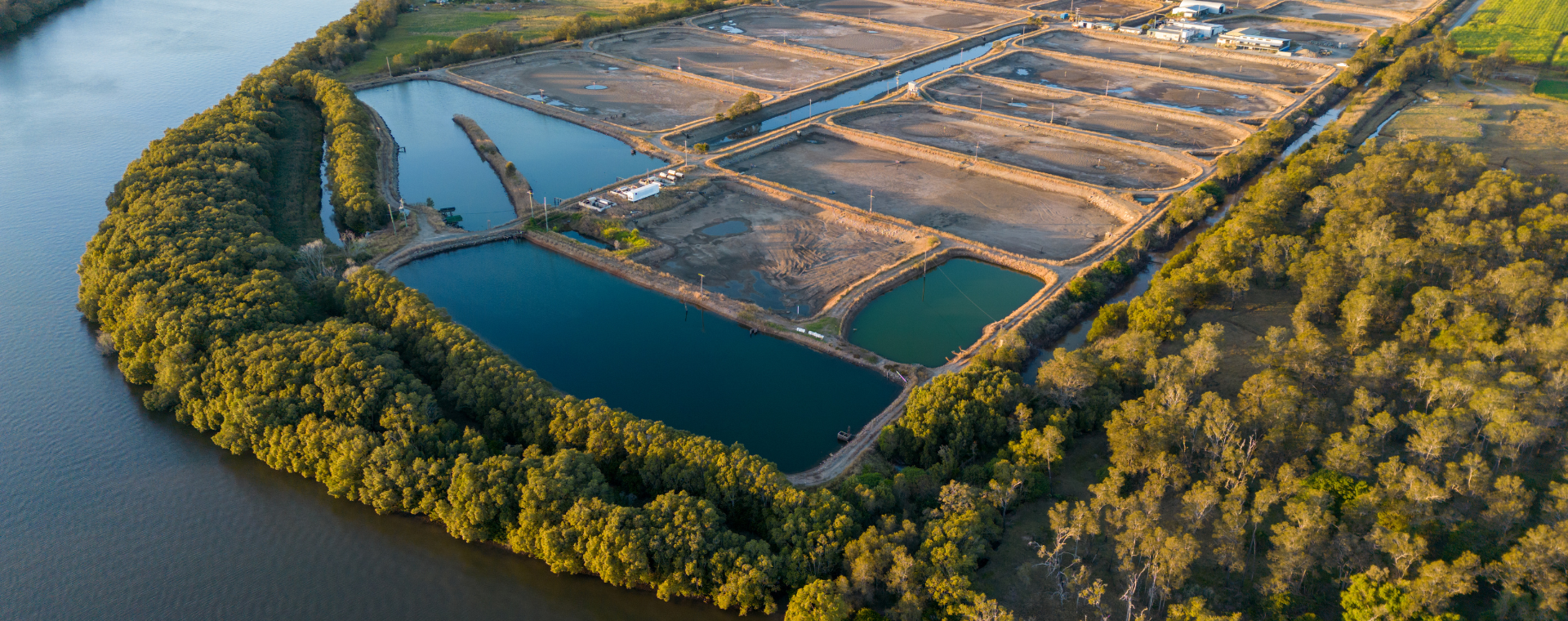 Acquacoltura bando Phorma Mentis